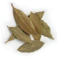 Dried Bay Leaves