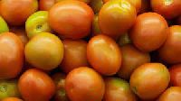 Fresh Jujube