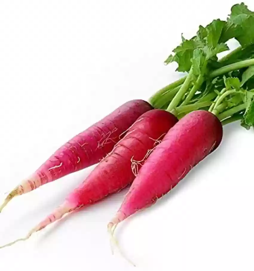 Red Radish