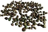 Curry Leaf Seeds