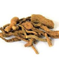 Salacia Reticulata Roots