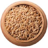 Khapli Wheat