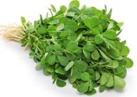 Fresh Fenugreek Leaves