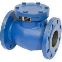 Cast Iron (CI) Check Valve