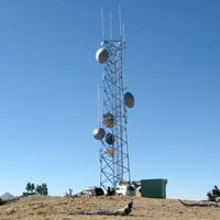 Microwave Antenna