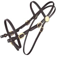 Horse Bridle