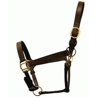 Horse Halters