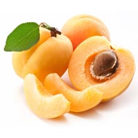 Apricot