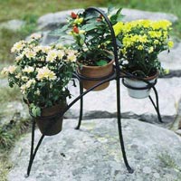 Garden Plant Stands