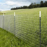 Garden Fencing