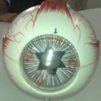 Educational Equipment