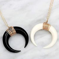 Horn Necklace