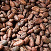 Cocoa Beans