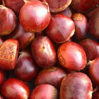 Chestnuts
