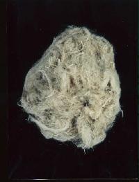 Flax Fiber
