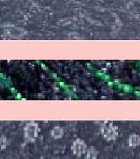 Cotton Spandex Fabric