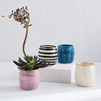 Ceramic Planter
