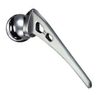 Hip Prosthesis