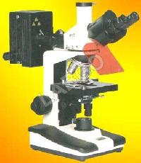 Fluorescent Microscope