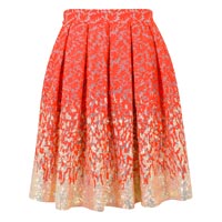 Embroidered Skirt