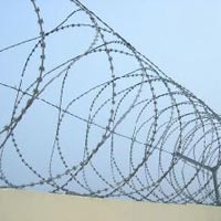 Concertina Wire