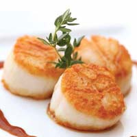 Scallops
