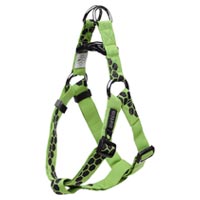 Dog Harness