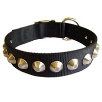 Dog Collar