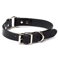 Leather Collars