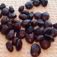 Tamarind Seeds