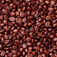 Robusta Coffee Beans