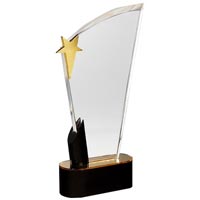 Acrylic Trophy