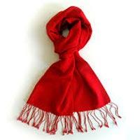 Pashmina Scarves