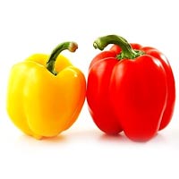 Color Capsicum