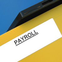 Payroll Software