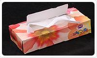 Tissue Box