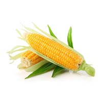 Sweet Corns