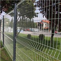 Wire Mesh Fence