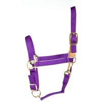 Nylon Halters