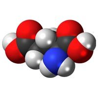 Glutamic Acid