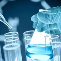 Textile Enzymes / Enzymes In Textile Industry