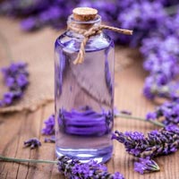 Lavender Oil