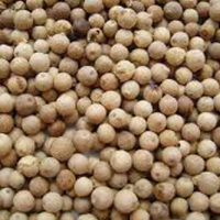 White Pepper