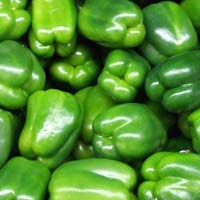 Green Pepper