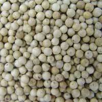 White Peppercorn