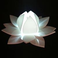 LED Flower Light