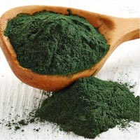 Spirulina