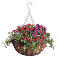 Hanging Baskets