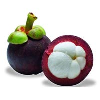 Mangosteen