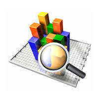 Data Mining Services